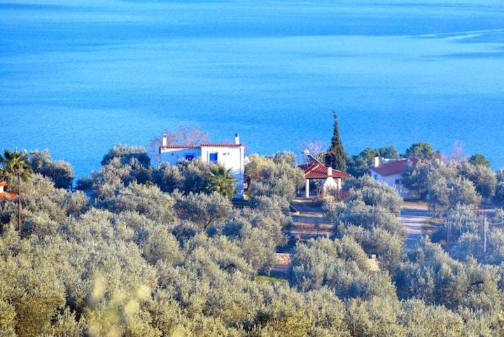 Four Independence Houses By The Sea Glífa Esterno foto