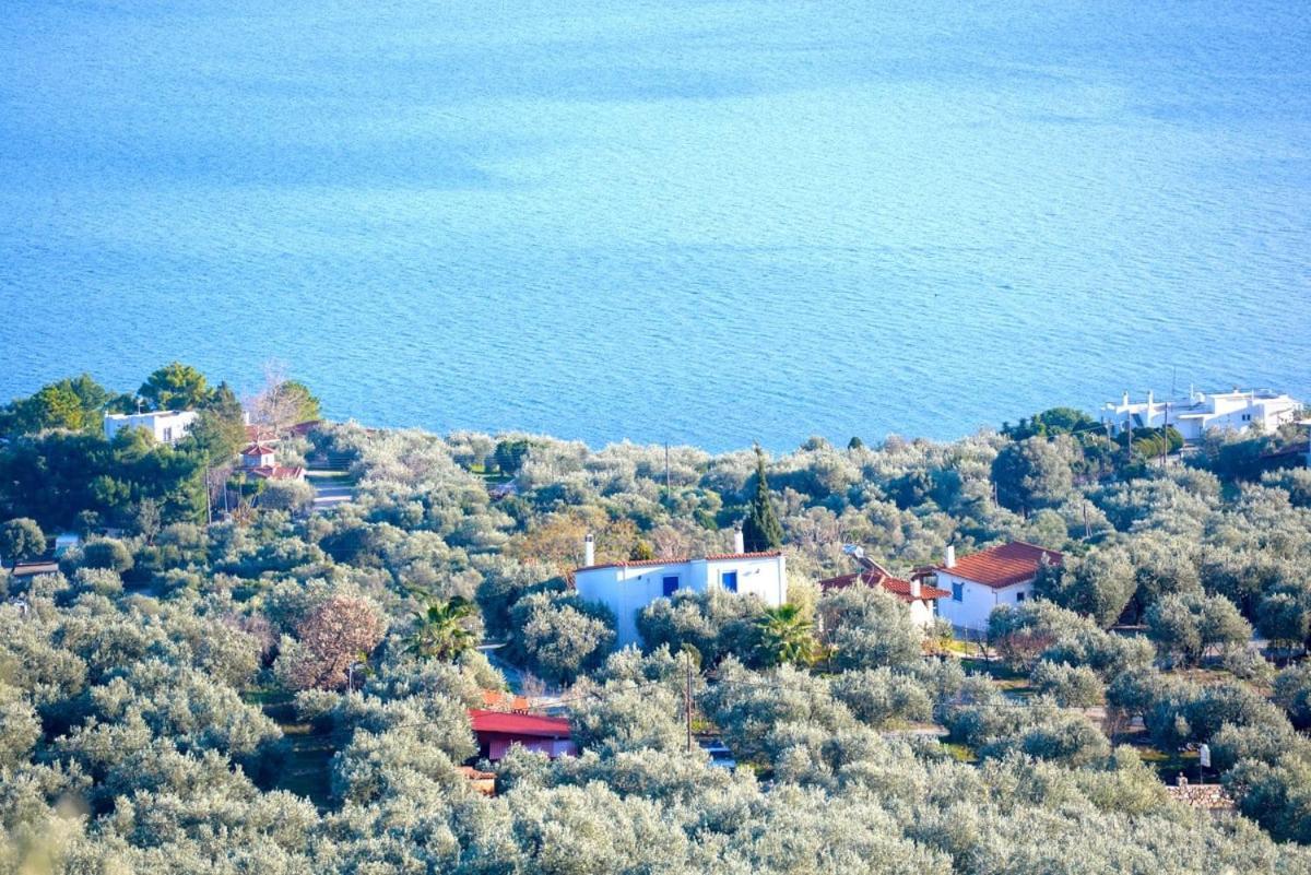 Four Independence Houses By The Sea Glífa Esterno foto